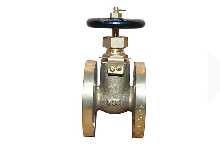 Globe valve