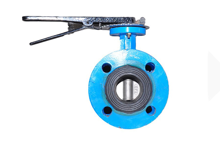 Butterfly Valve